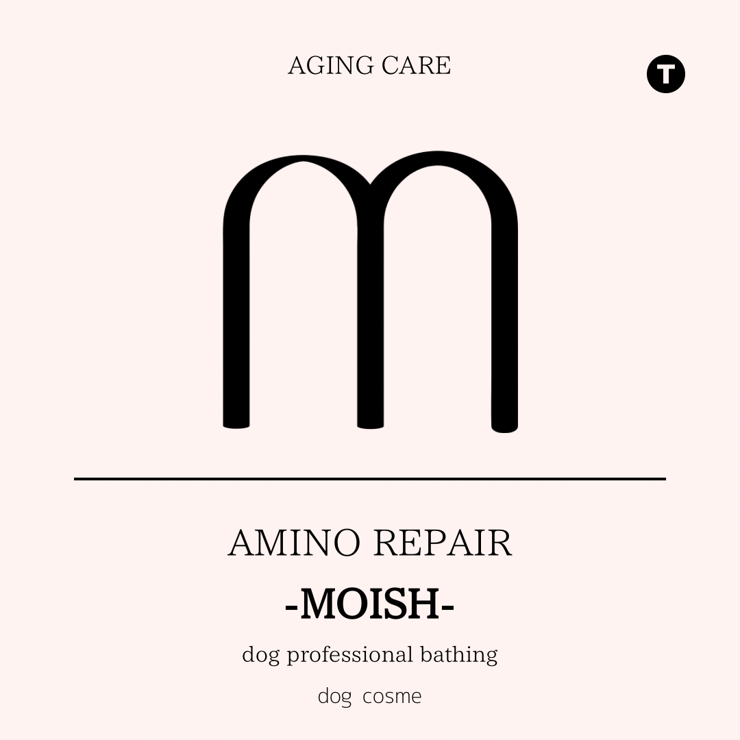 Amino Repair Treatment