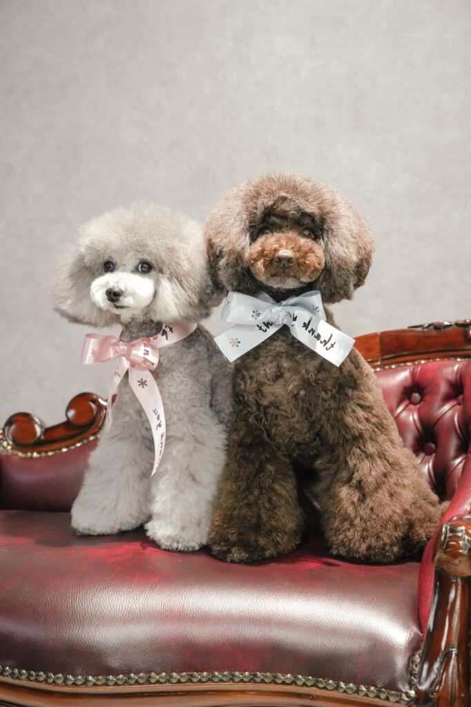 エイジングケア